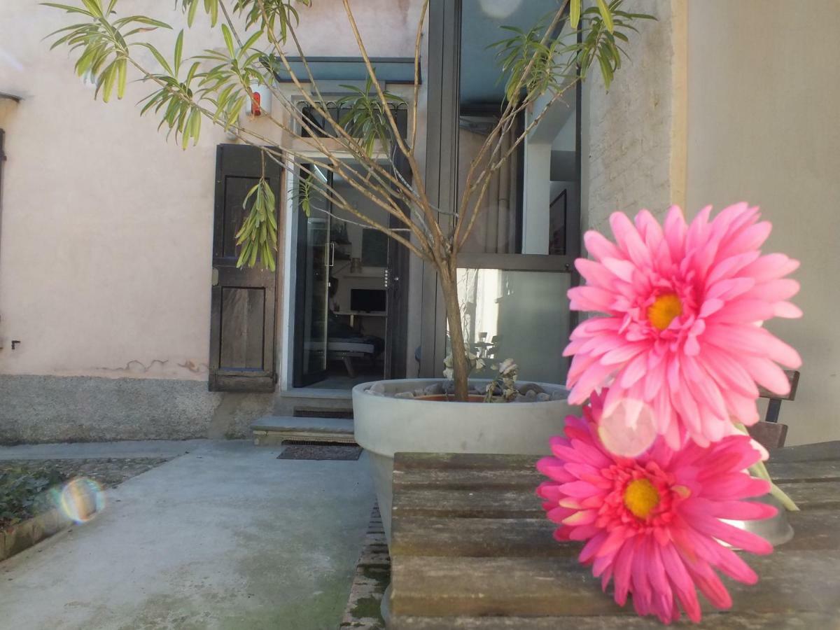 Loft Garden In Bologna'S Heart Ospedale Rizzoli 아파트 외부 사진